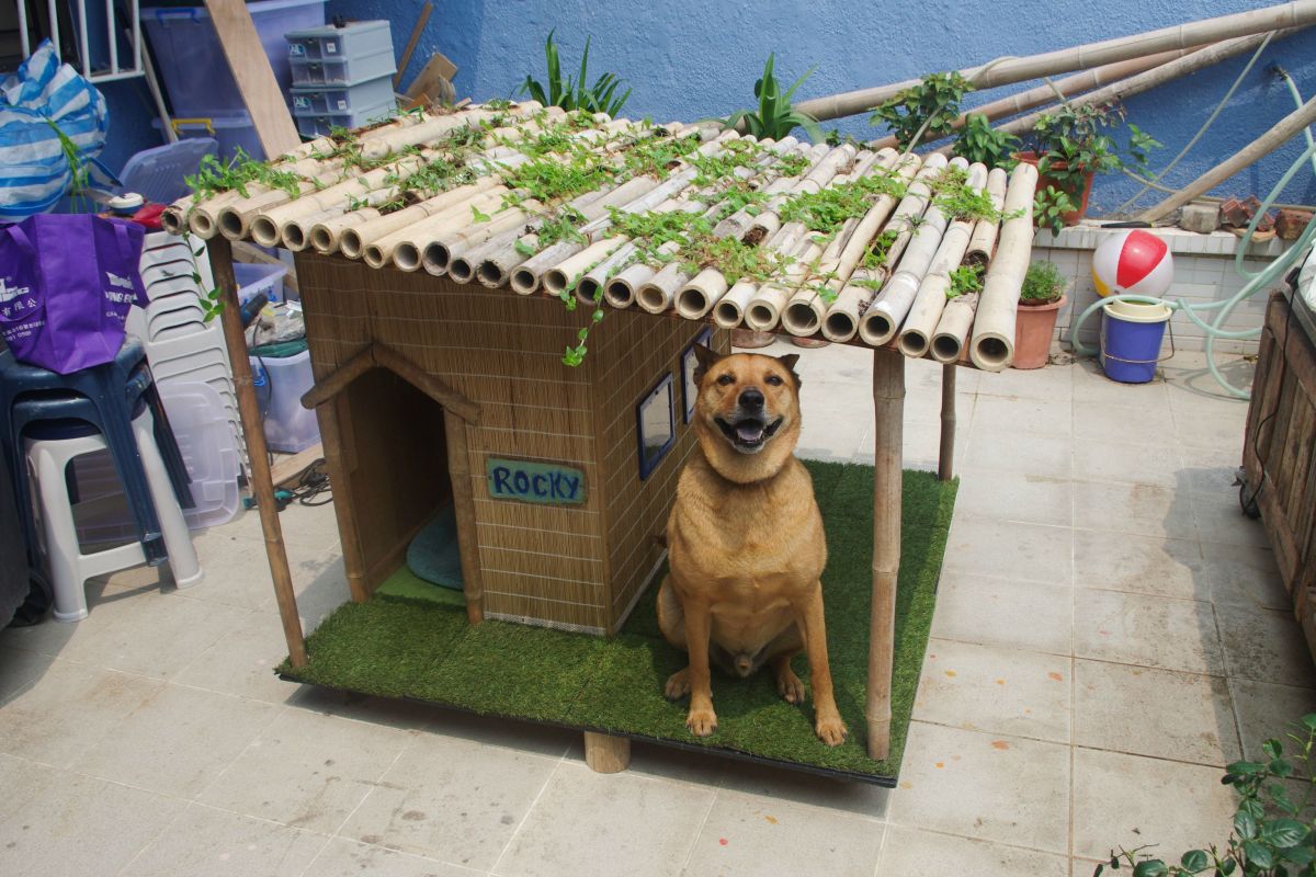 DIY Wooden Dog House