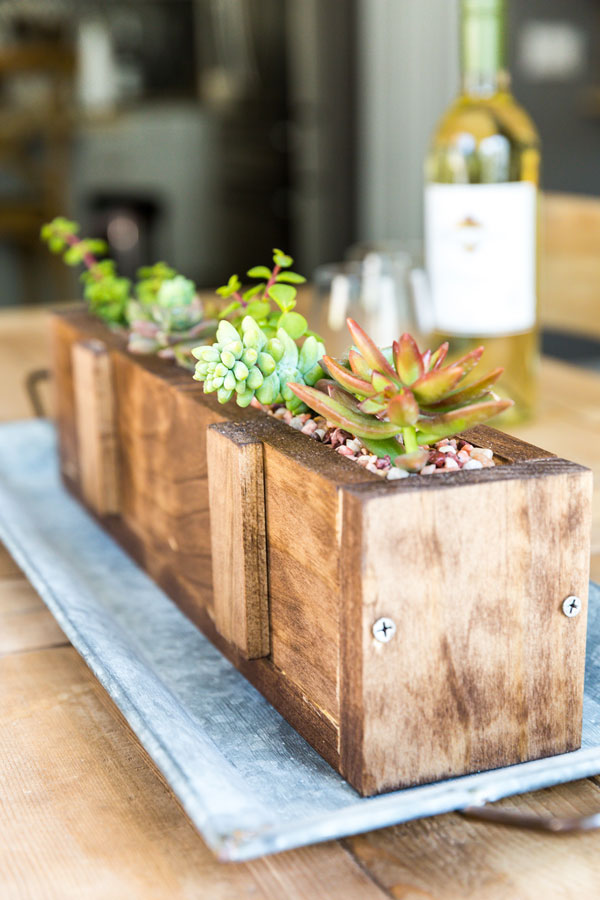 Succulent wooden centerpiece