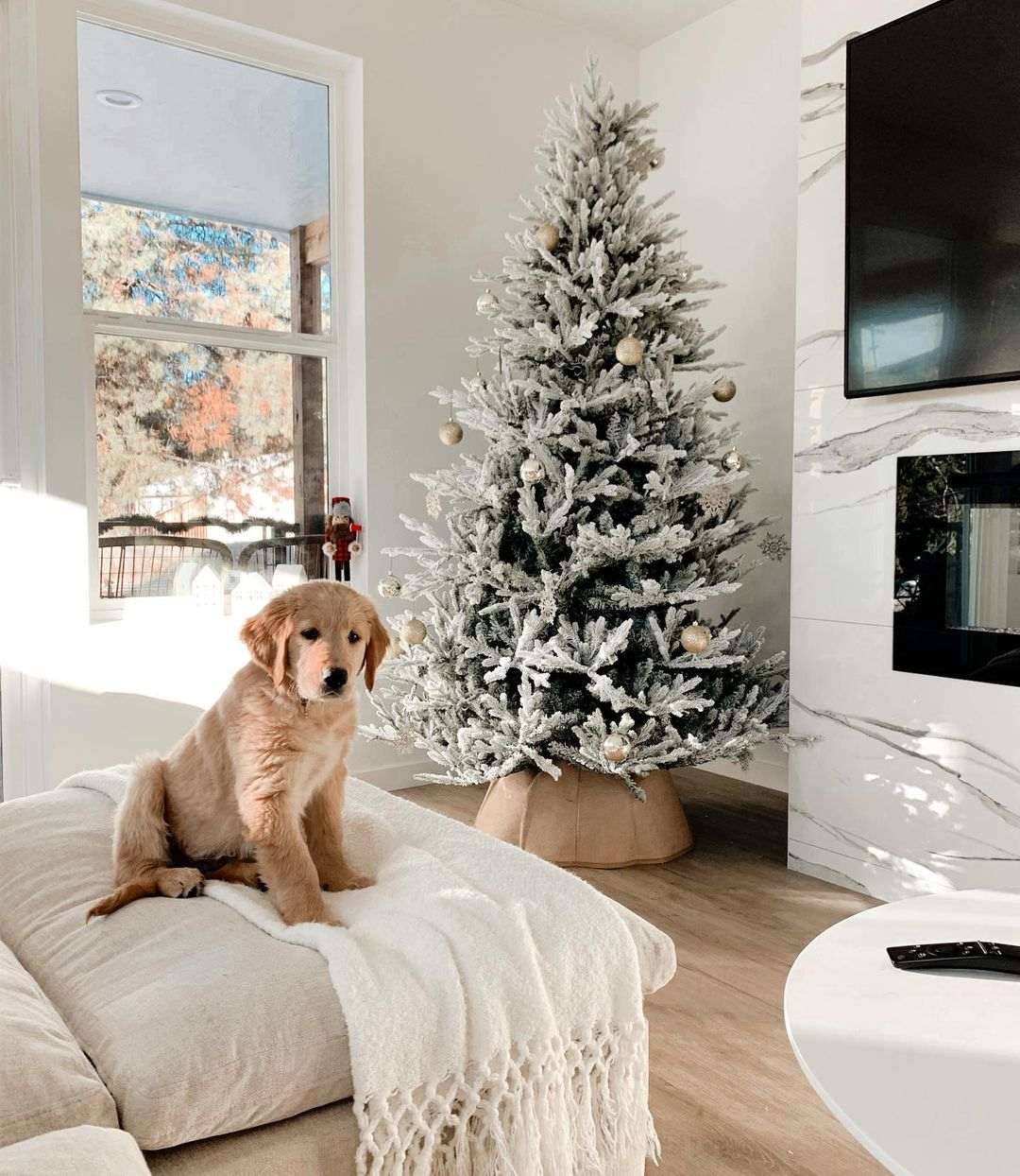 Winter White Christmas Tree Decorating Ideas