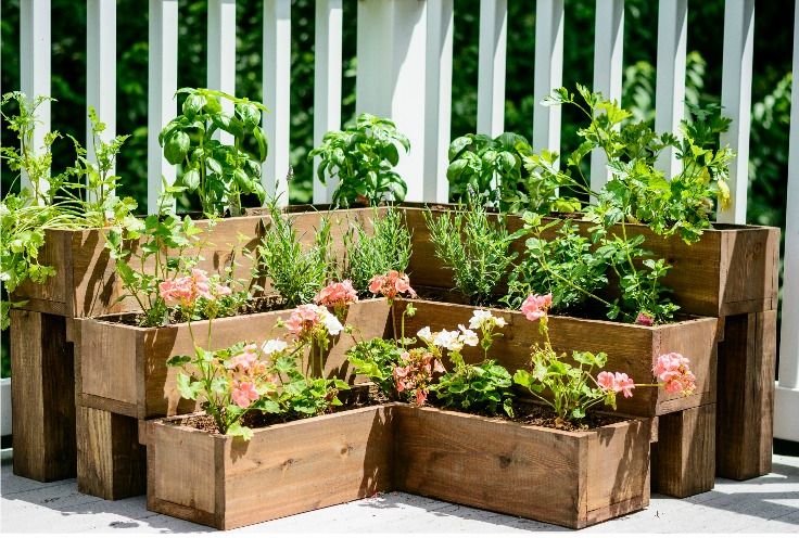 Garden with raised beds