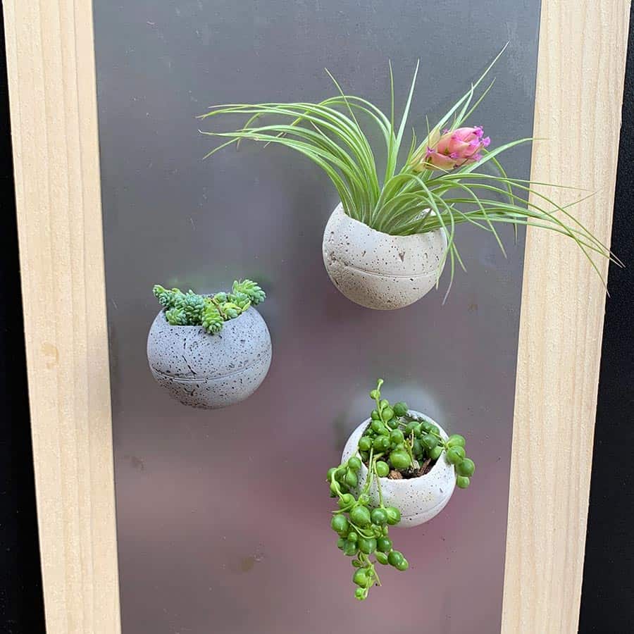 Faux Concrete Orb Planters for Air Plants