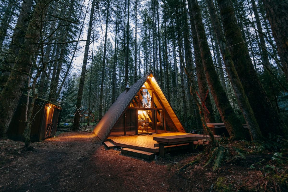 The cabin is nestled between tall trees which frame it on all sides