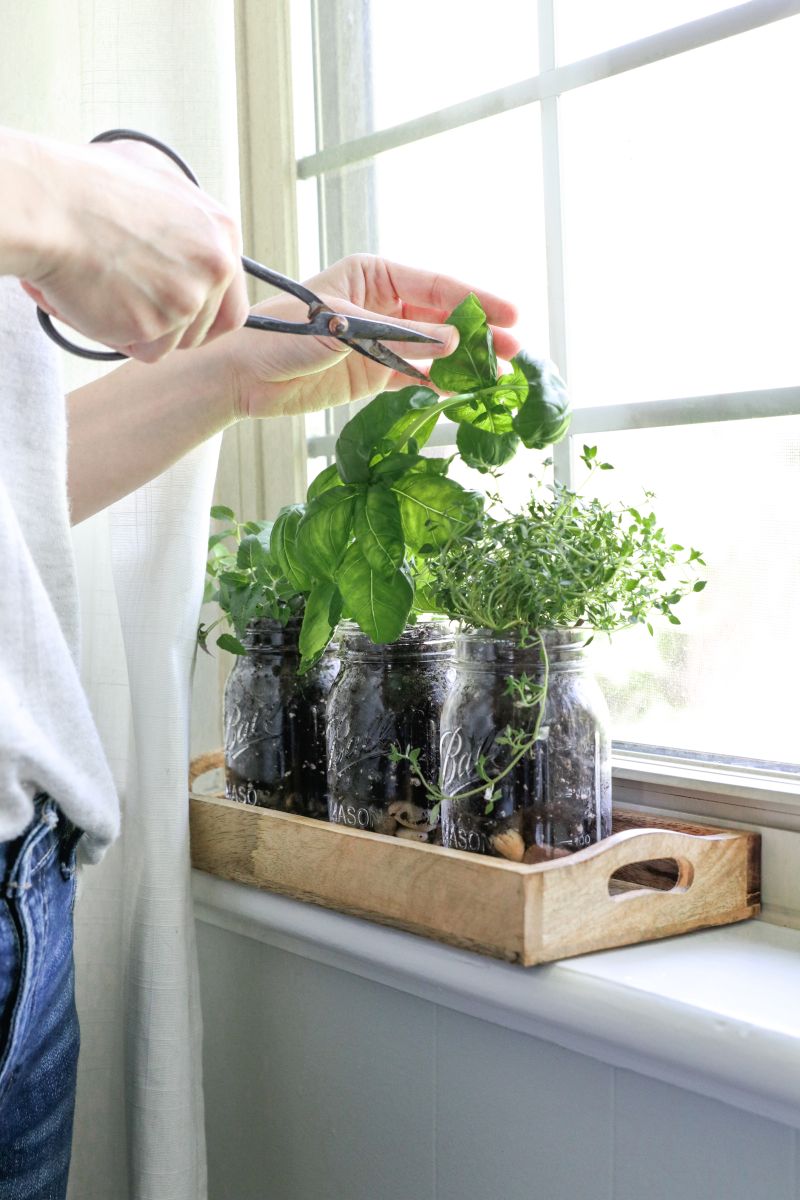 Mason Jar Herb Garden