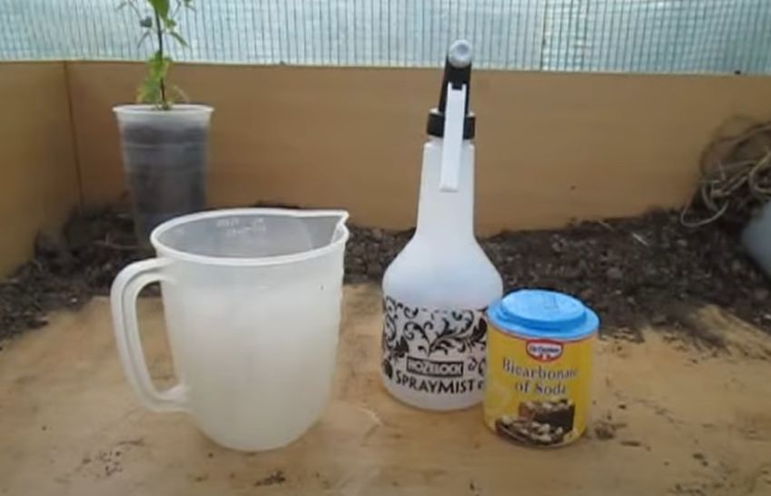 Soil and baking soda