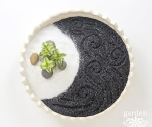 How To Make Your Own Mini Zen Garden From Scratch