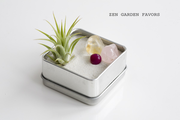 Mini Succulent Zen Garden