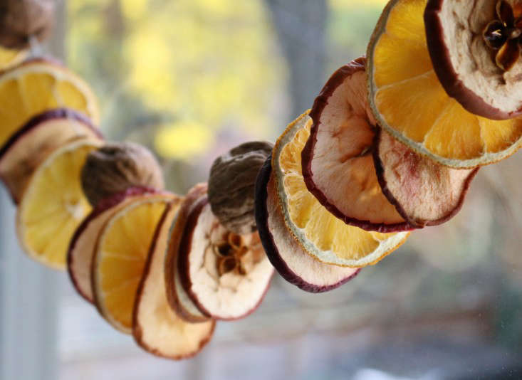 A Versatile Dried Fruit Apple Garland