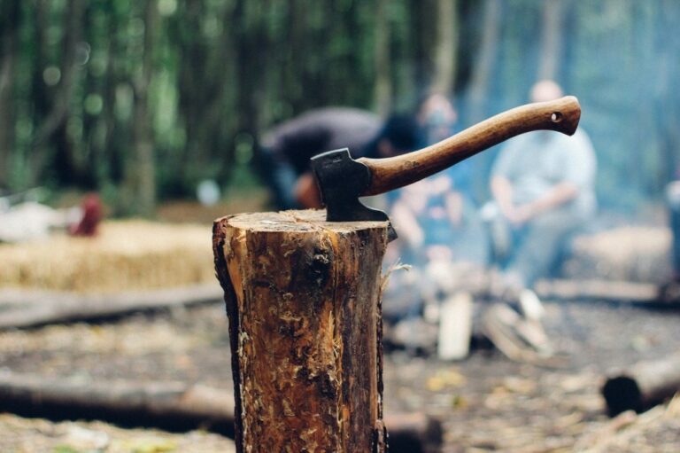 13 of the Best Types of Wood Cutting Tools