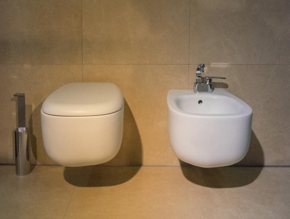 Types Of Toilets To Make You Rethink Their Original Purpose