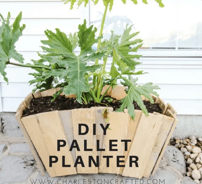 Pallet Wooden Planter