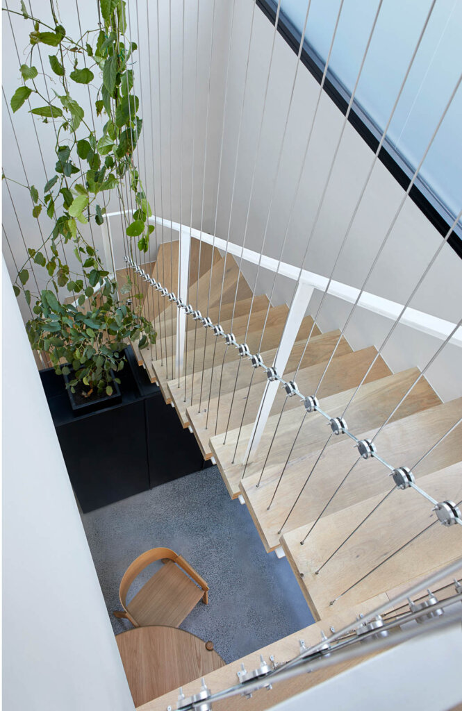 hallway staircase with Plants To Add Life