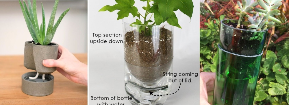 Build self watering planters (DIY)