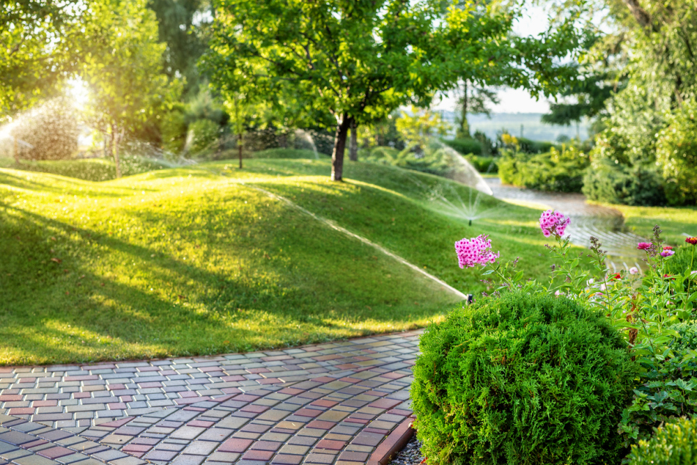 hill landscape design