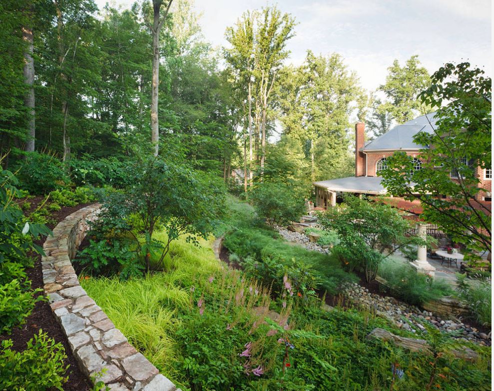 Hillside Landscape Ideas and Solutions