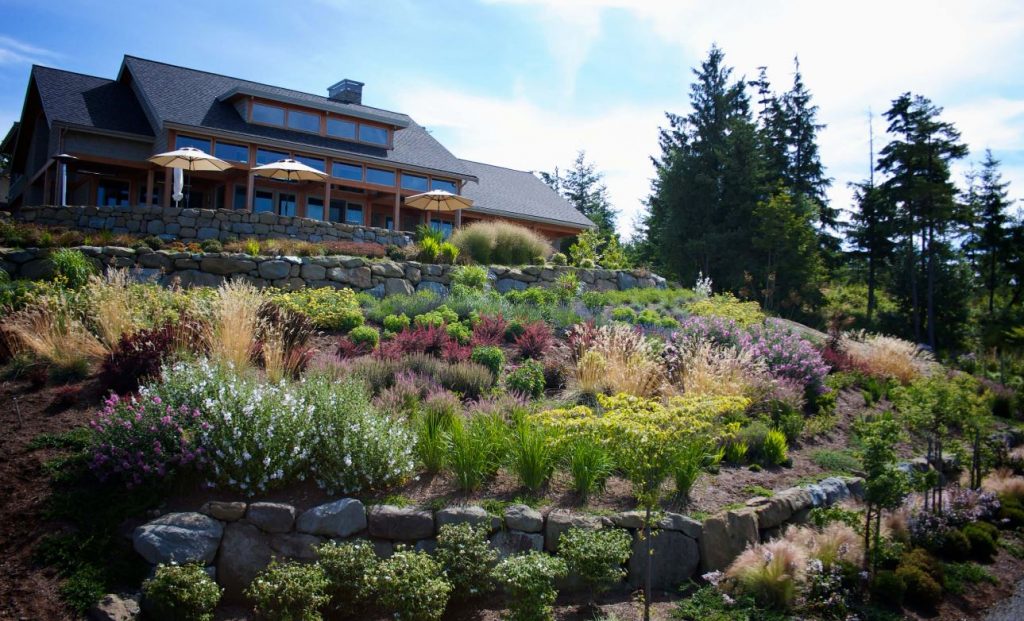 Hillside landscape design