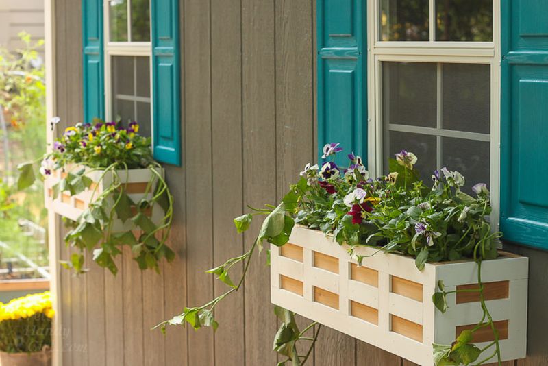 Lattice cedar window boxes