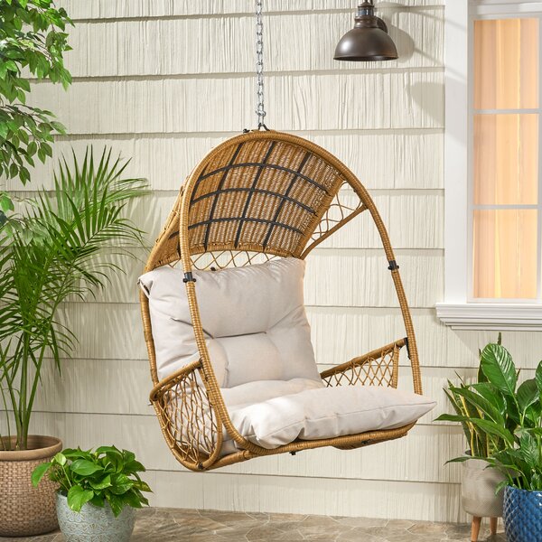 Bayou Breeze Berkshire Hanging Chair