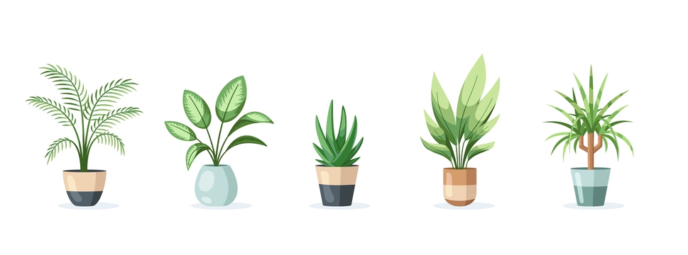 easy house plants