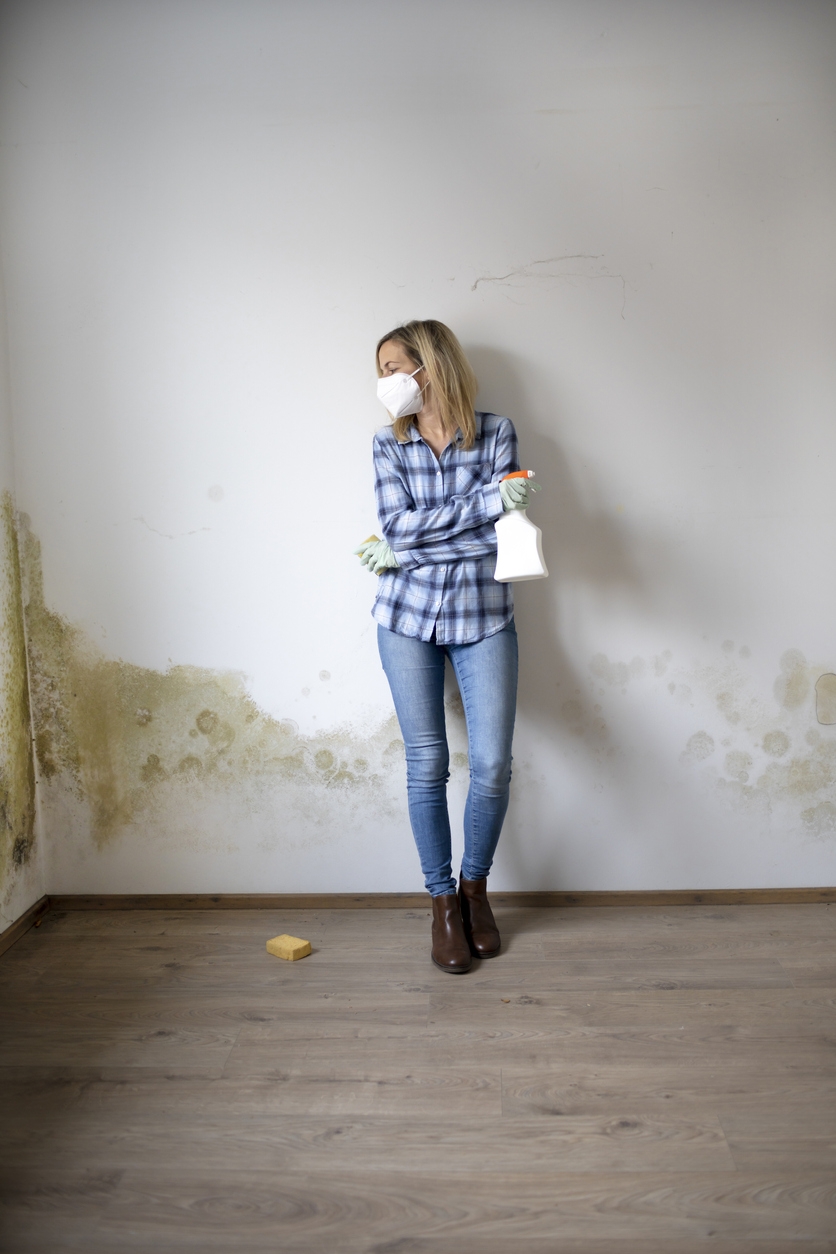 Learning how to get rid of mold from your home