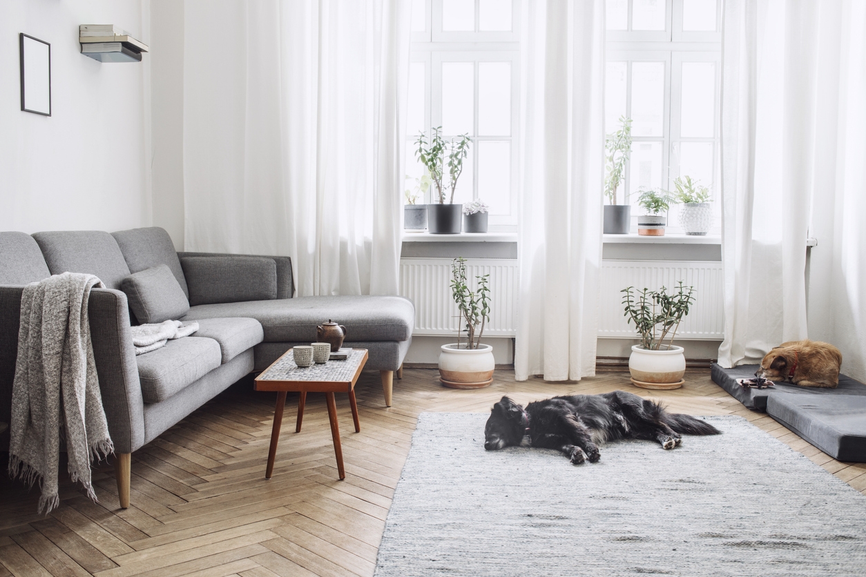 Modern grey and white deals living room