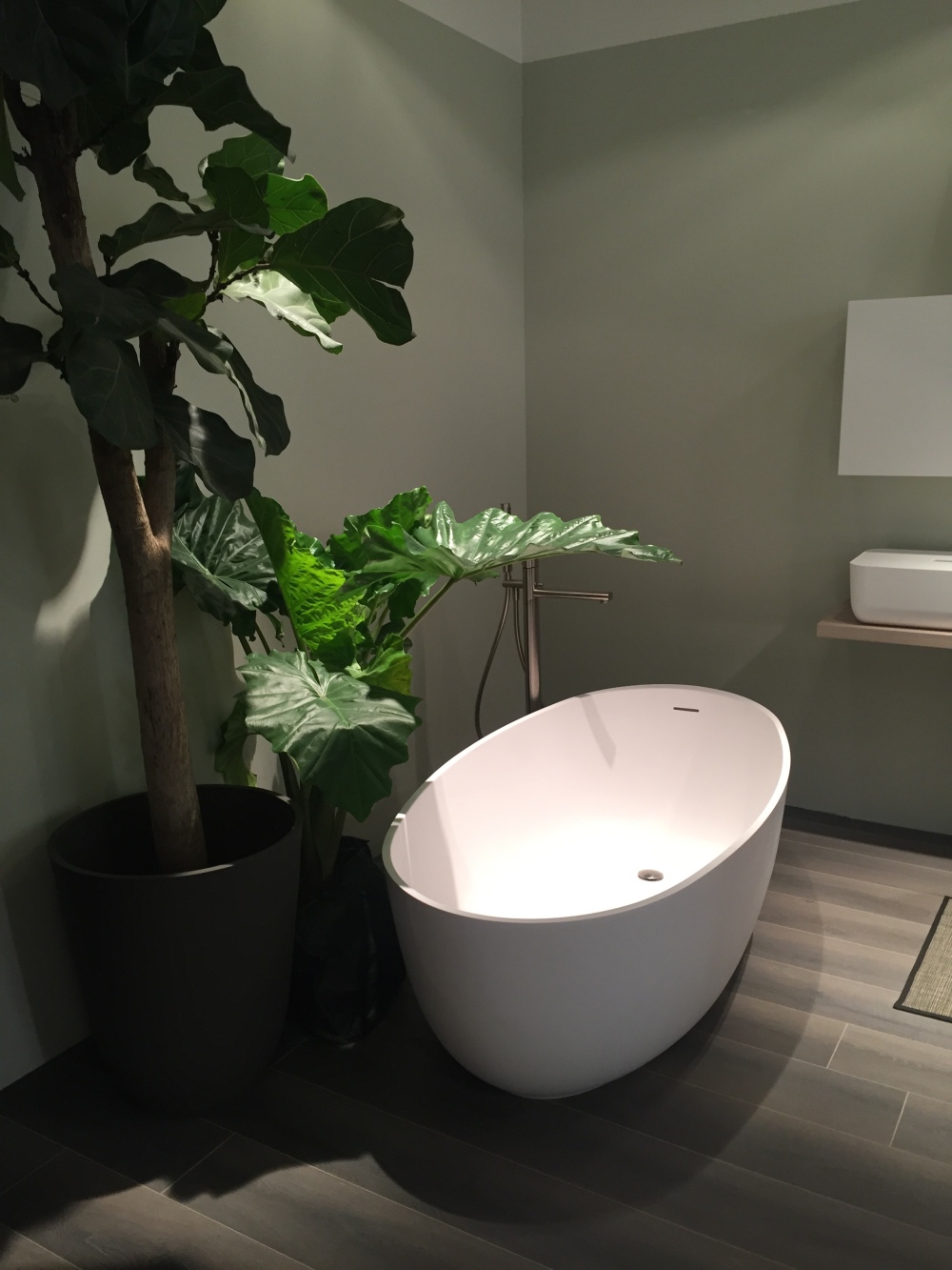 Shower Plants That Want To Survive In Your Bathroom   Large Poted Flowr Plant Bathtub 