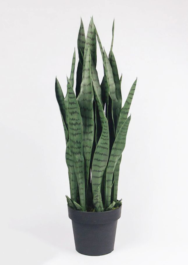 Faux potted snake plant