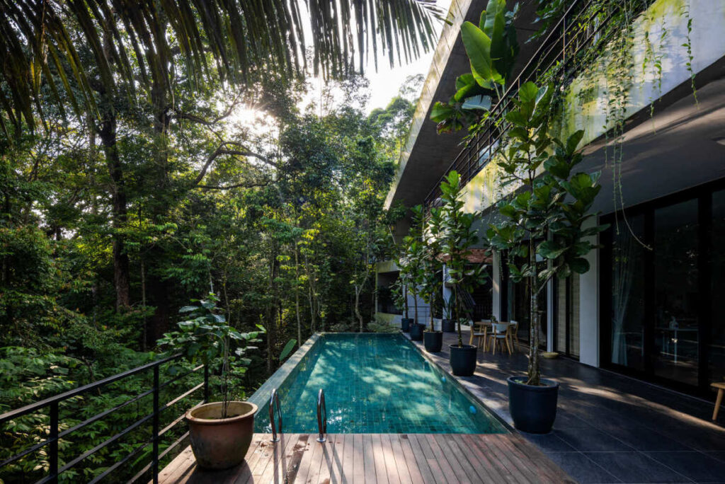 Rainforest Residence Blends Concrete with Nature