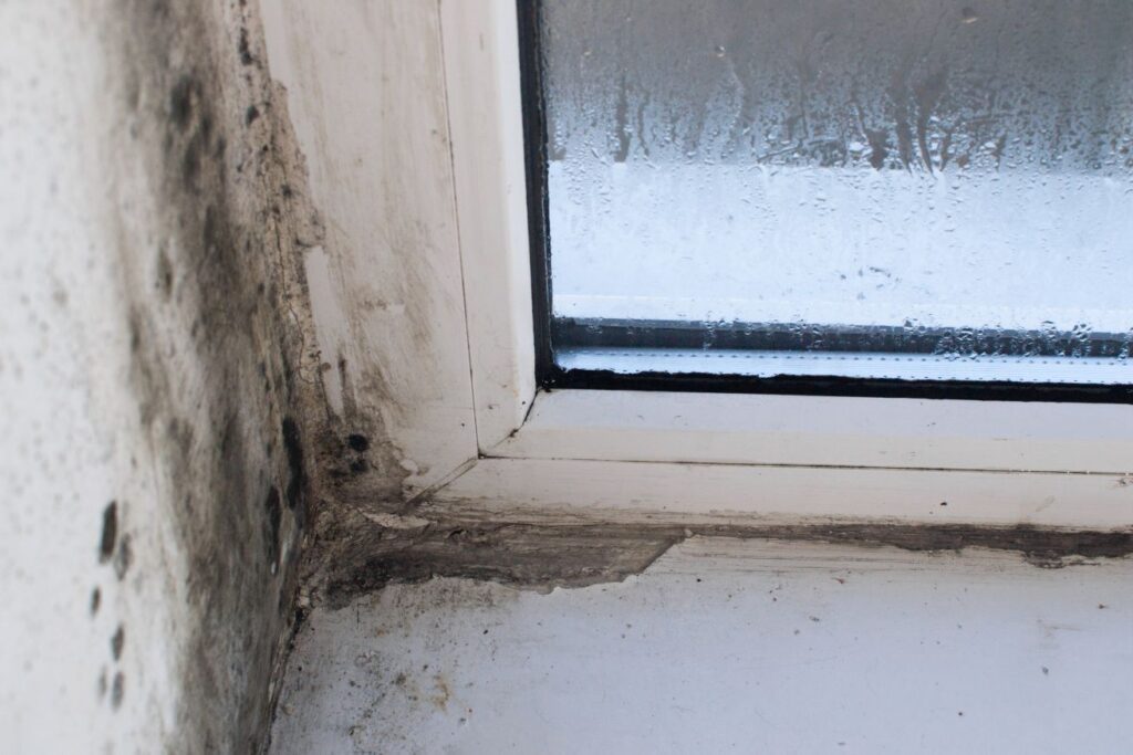 Musty Window The Reason Window Sill Mold Comes Back Has Nothing to Do With Cleaning