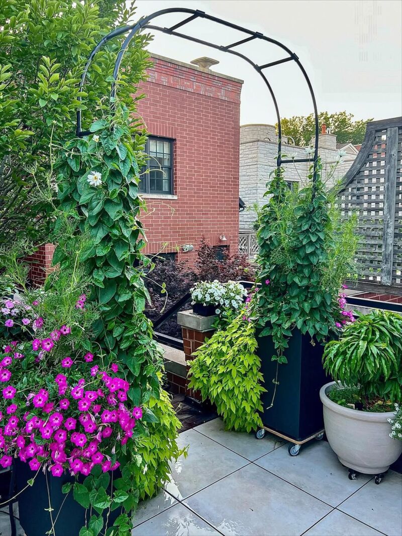 15 Garden Arch and Trellis Ideas for 2026 Where Flat Yards Become ...