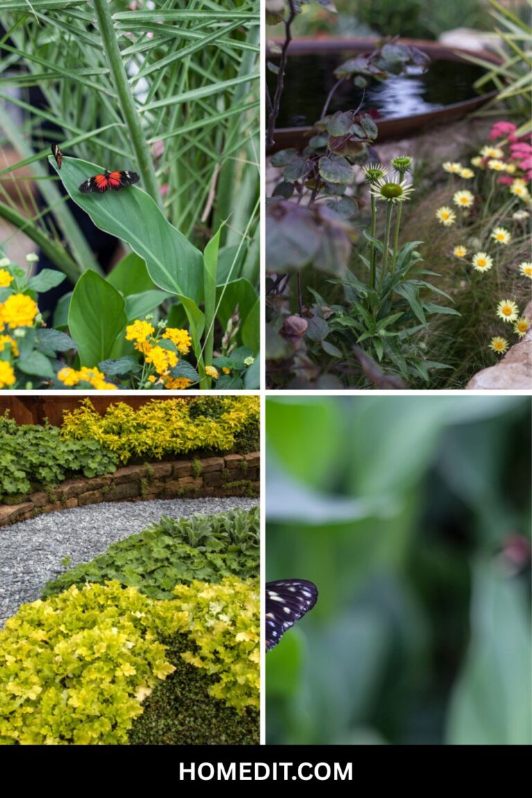 Rewilding Layout 17 Backyard Rewilding Ideas for 2026 That Replace Structured ...