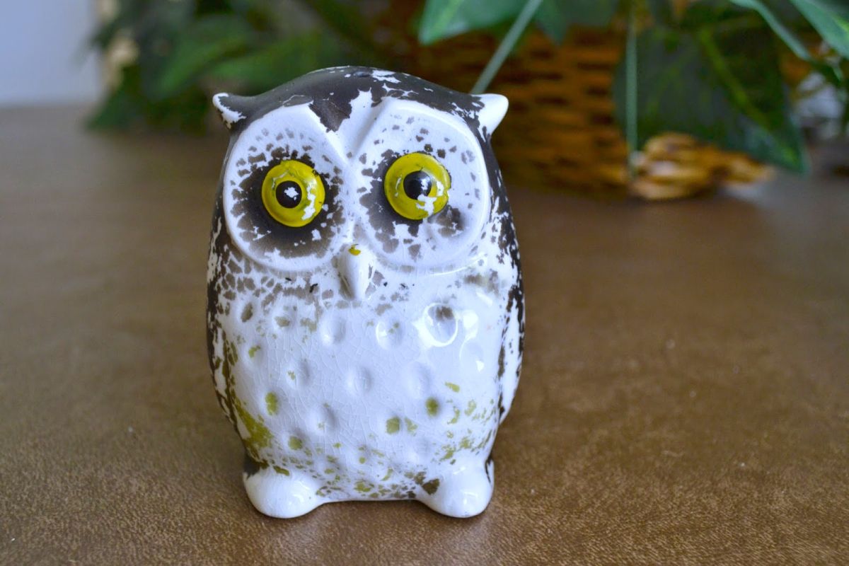 A 99-Cent Owl Received the Same Finish