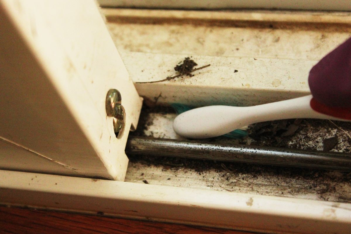 A Dry Toothbrush Reaches Dirt the Vacuum Leaves Behind