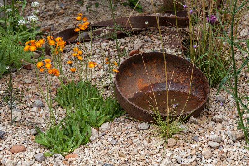 A Shallow Bowl Brings the Detail Down to Ground Level