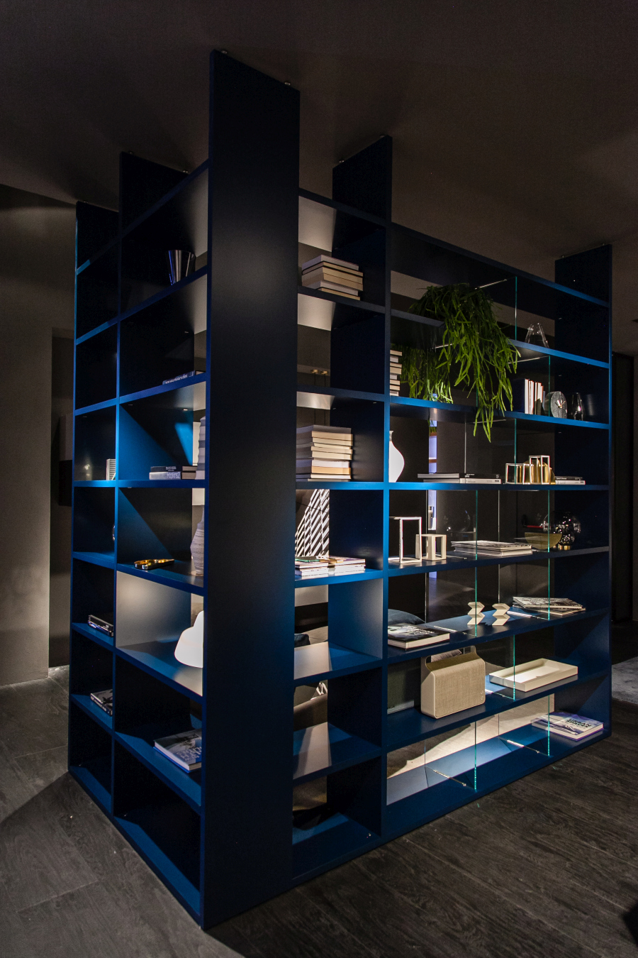 Blue shelving becomes a wall without closing off the room