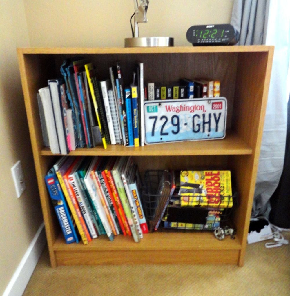 Books and Toys Filled the Original Shelves