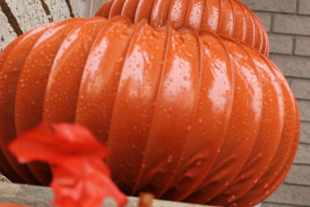 Cinnamon-Colored Paint Changed How the Ridges Read