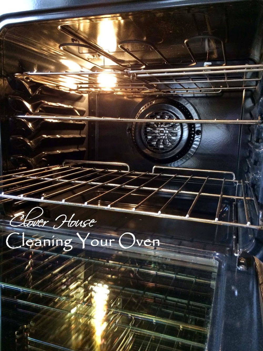 Cleaned oven with home ingredients