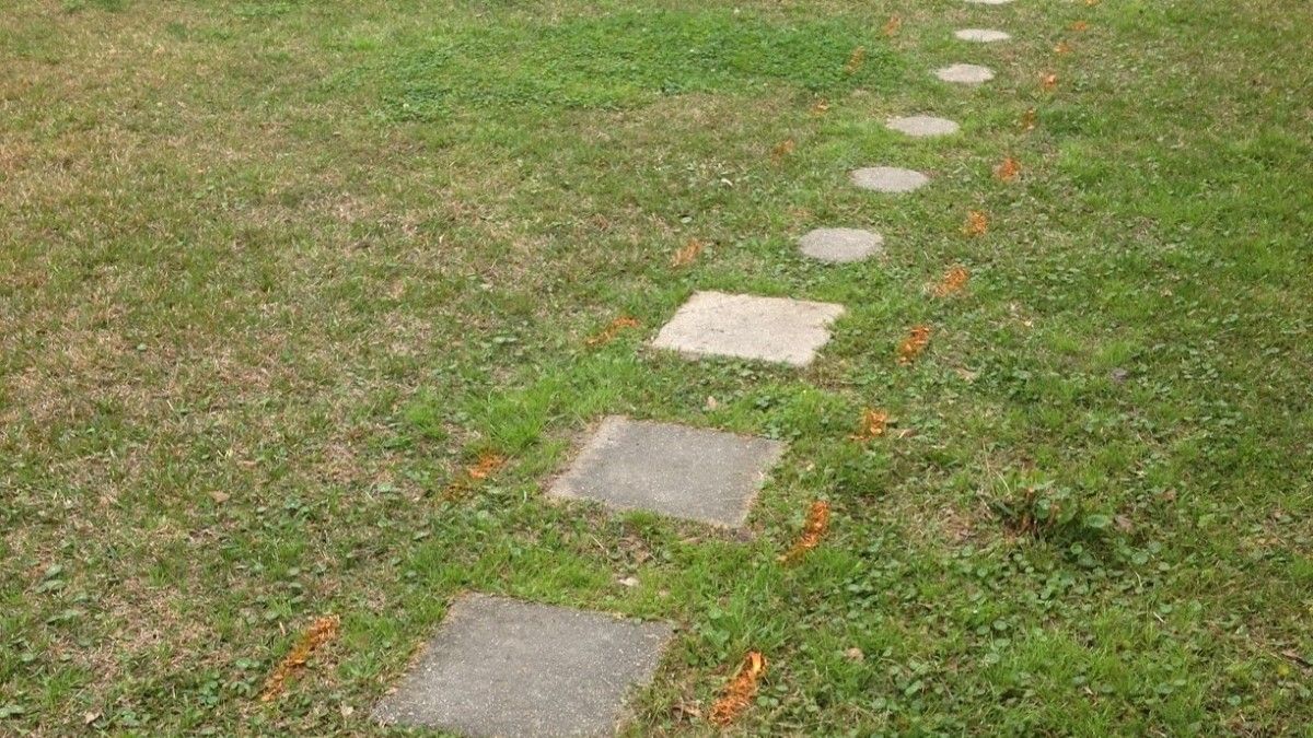 He Used One Concrete Mold to Turn a Strip of Grass Into This Stone-Look Walkway