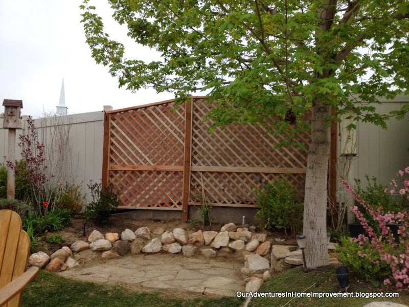 Lattice and New Plants Framed the Empty Patio