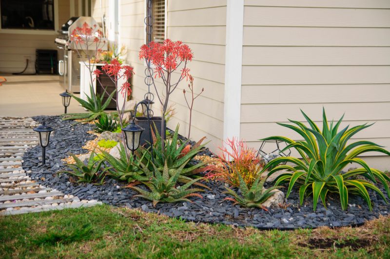 More Flower Stalks Changed the View Along the House