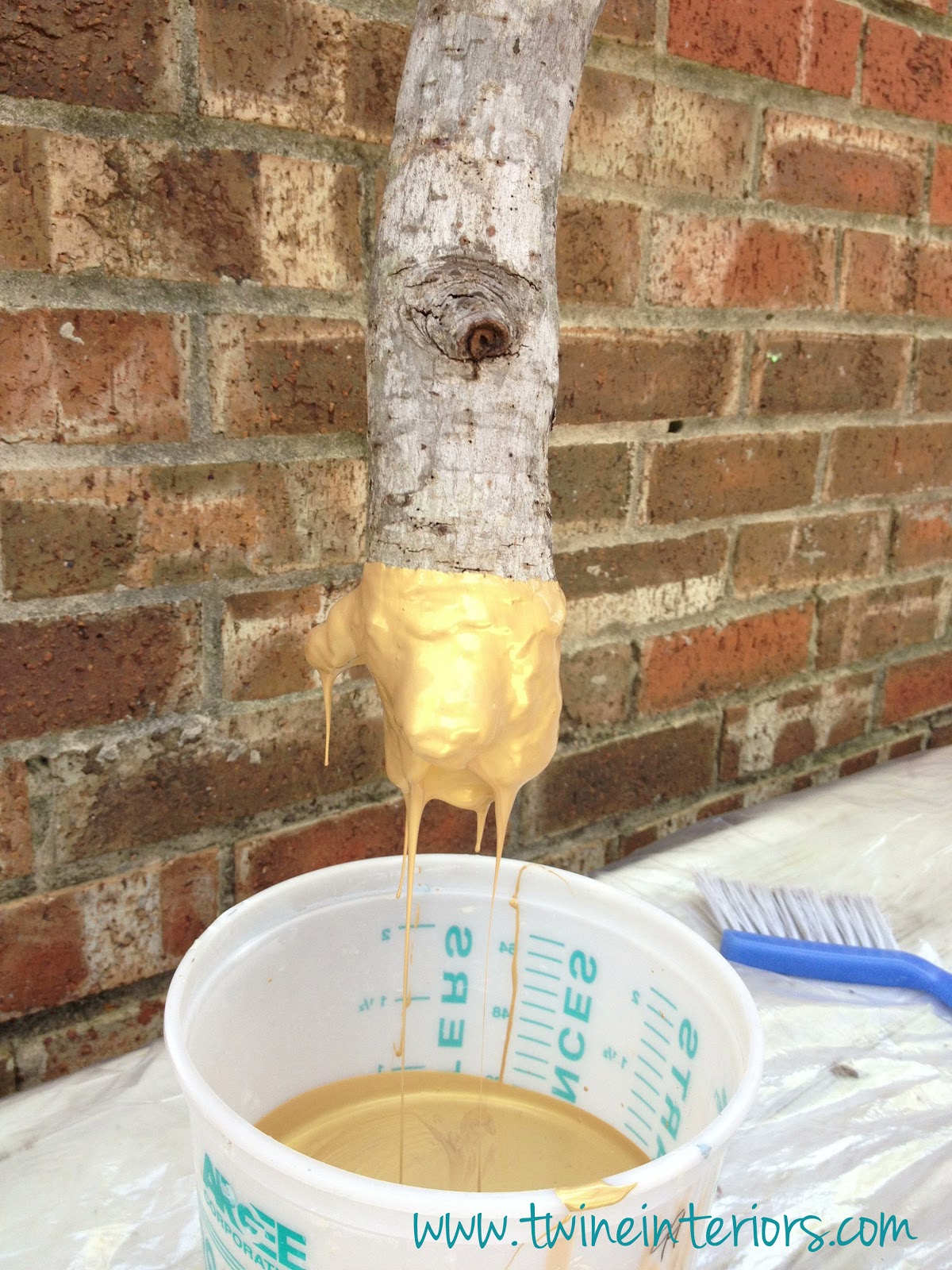 One branch was lowered into the paint until