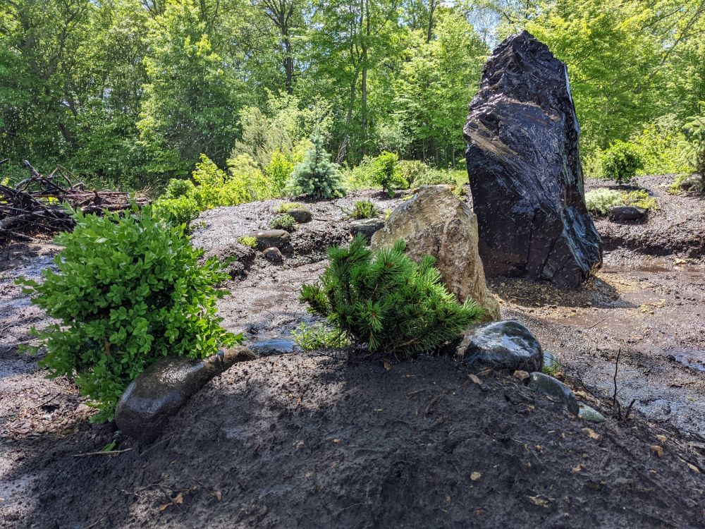They Built a Gravel Garden Around One Upright Stone Now Their Bare Backyard Corner Feels Like a Japanese Retreat