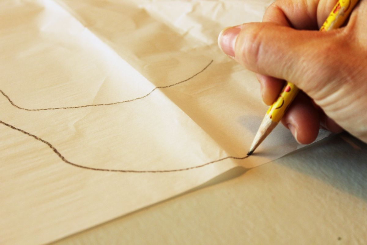 Parchment Paper Provided the Skull Pattern