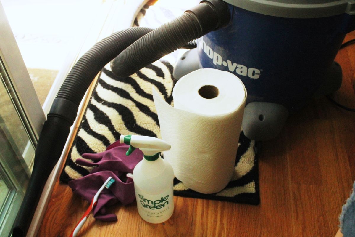 Remove Loose Debris With a Vacuum First