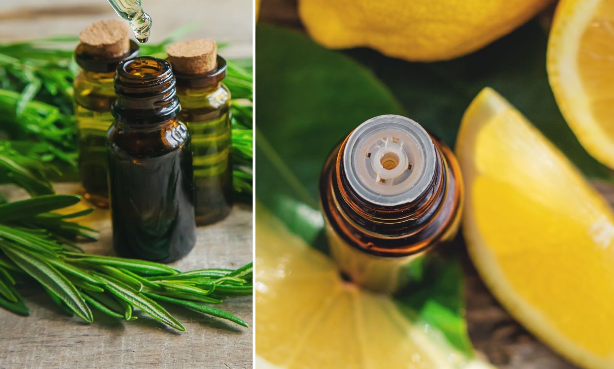 Rosemary and Lemon essential oils