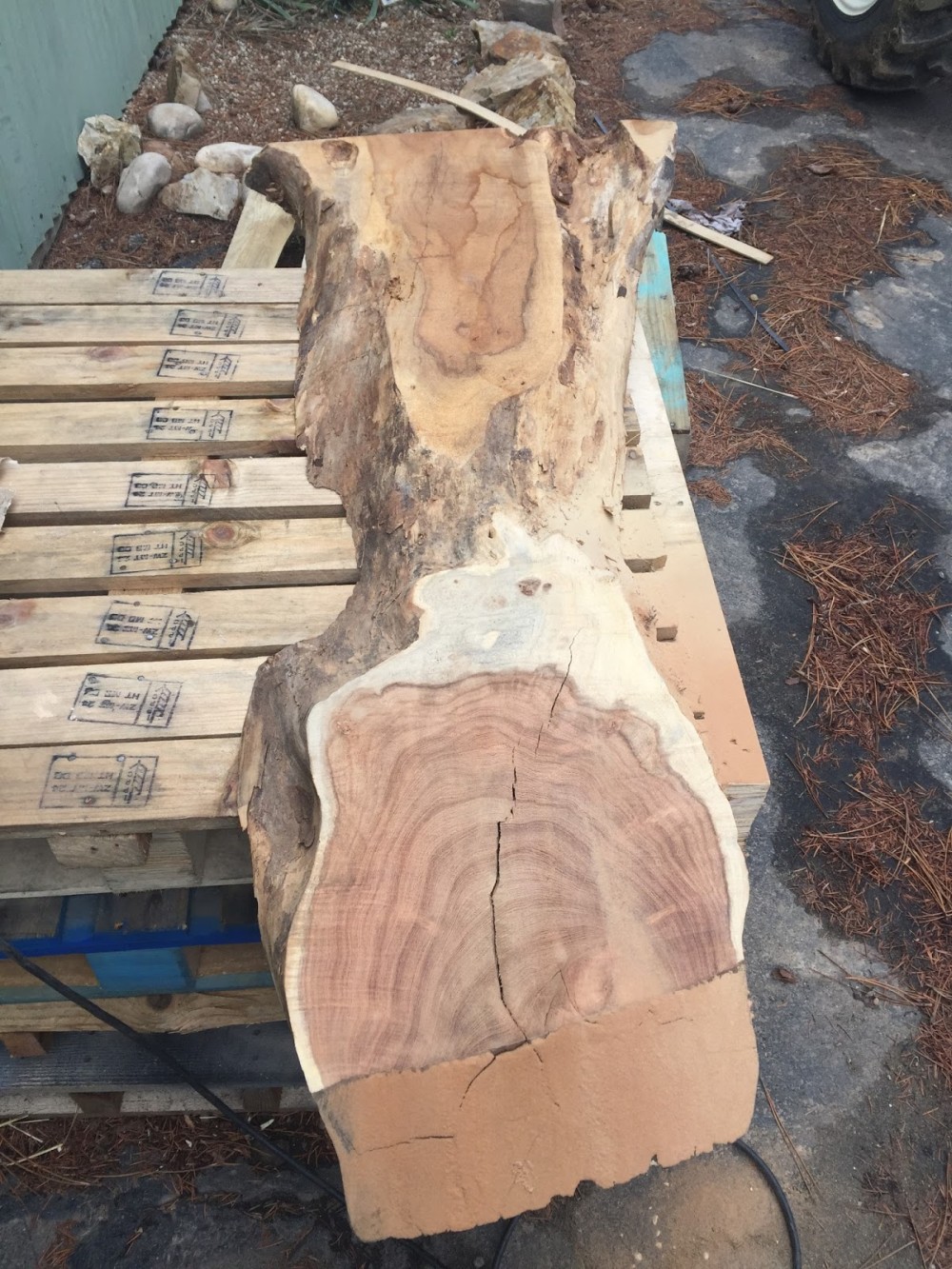 Rough Walnut Wood Still Had Bark and Cracks
