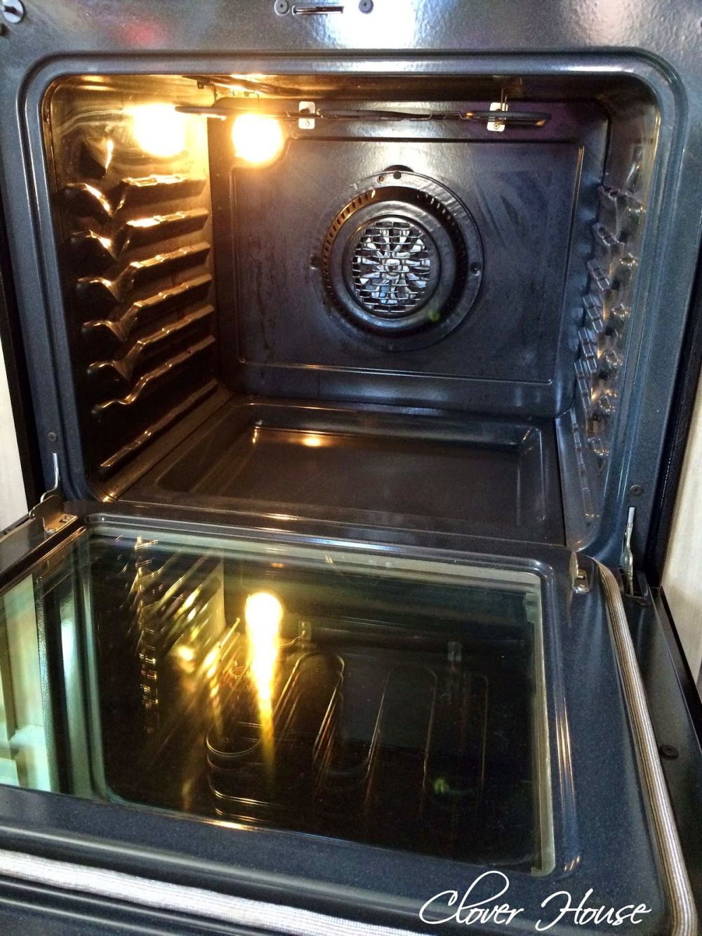 Scrubbing Helped, but the Oven Still Wasn't Clean