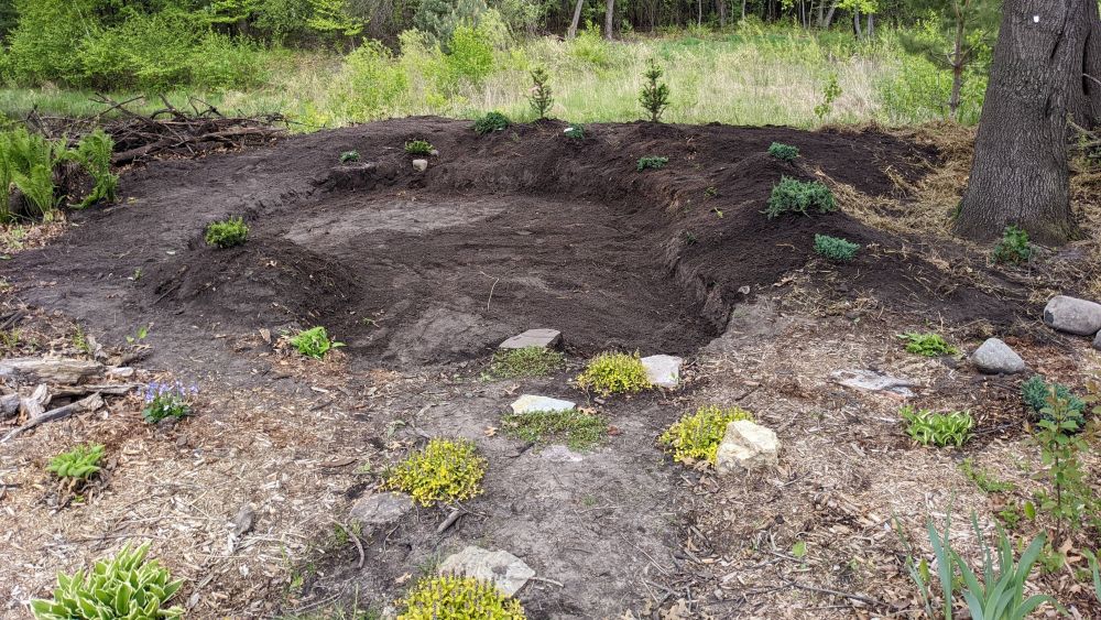 Shaped soil separated the planting from the future gravel bed