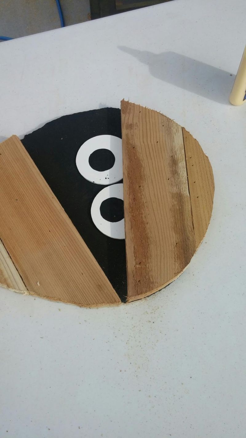 She Left a Gap Between the Boards for the Eyes
