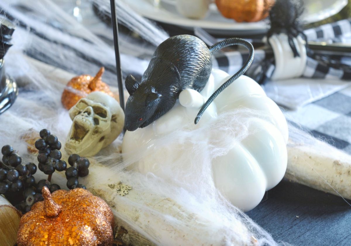 She Took an Old White Pumpkin and Covered It With Spiderwebs Now Her Halloween Table Looks Like a Haunted Dinner Party